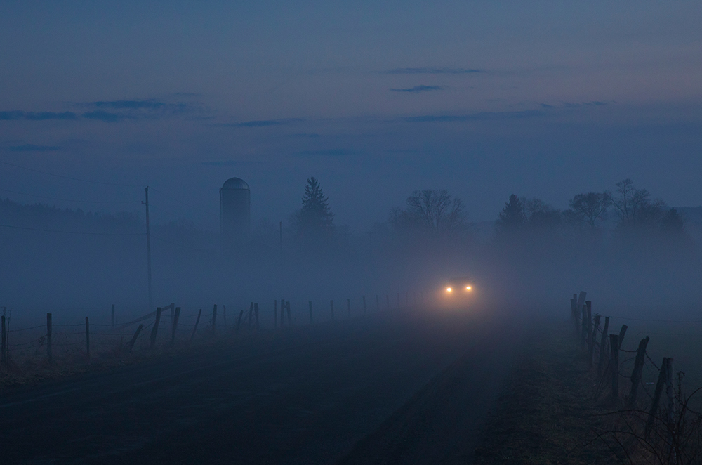 foggy rural road