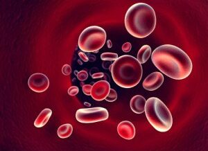 red blood cells
