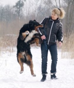dog jumps on woman