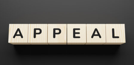 what happens during an appeal?