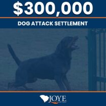 $300,000 settlement for a little girl who was attacked by a dog