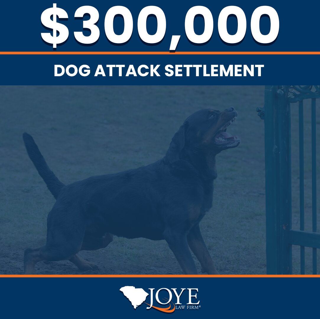 $300,000 settlement for a little girl who was attacked by a dog