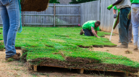 landscape workers