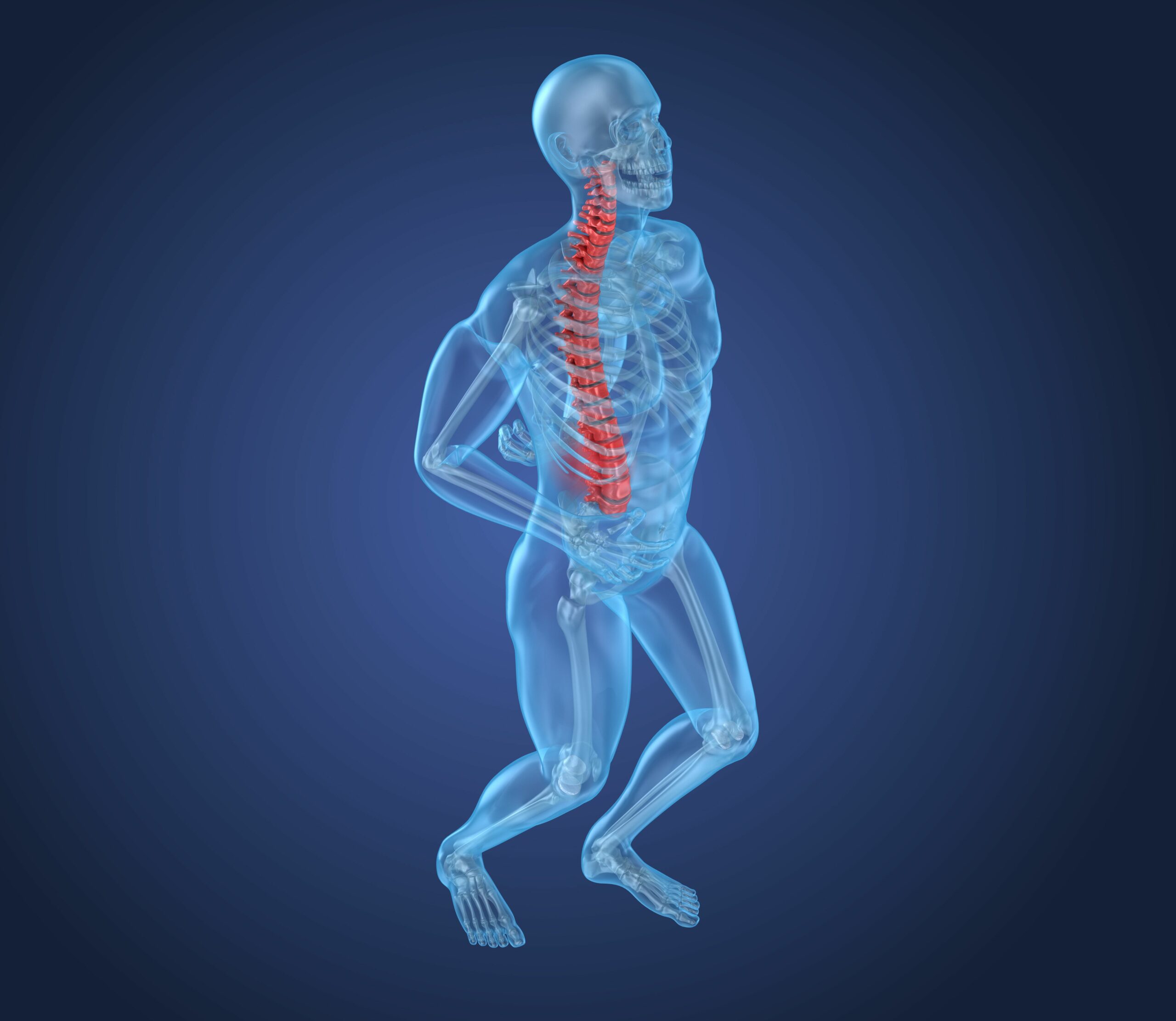 human anatomy x-ray for spinal cord injury