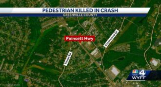 Pedestrian killed following crash on Poinsett Highway identified, coroner says