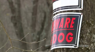 Horrific Dog Attack Leaves Upstate Woman Fighting for Her Life