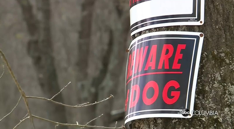 Horrific Dog Attack Leaves Upstate Woman Fighting for Her Life