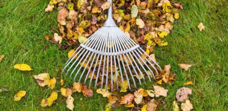 raking leaves