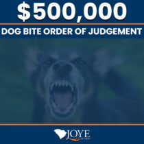 $500,000 order of judgement for a dog bite case