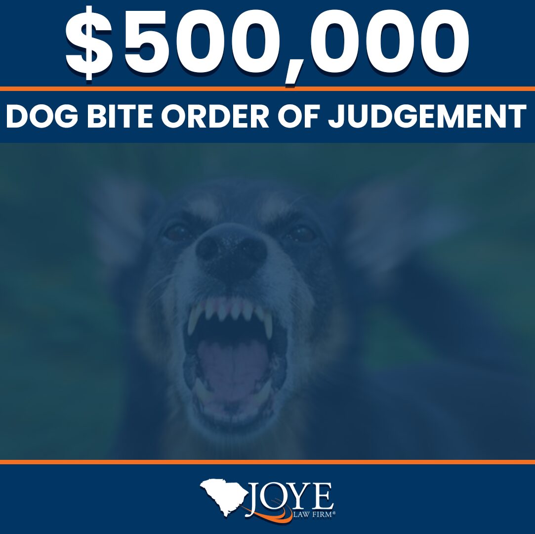 $500,000 order of judgement for a dog bite case