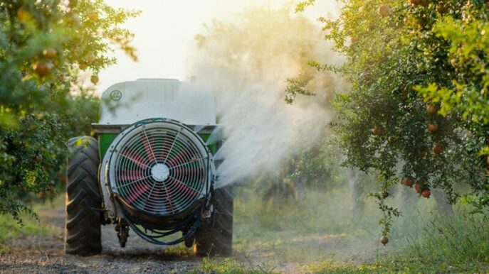 Truck spraying water on peach trees