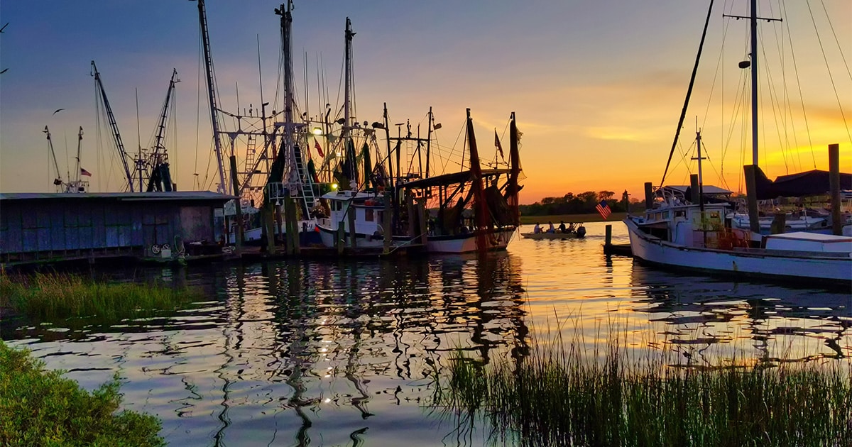 Boats docked on the water in Charleston