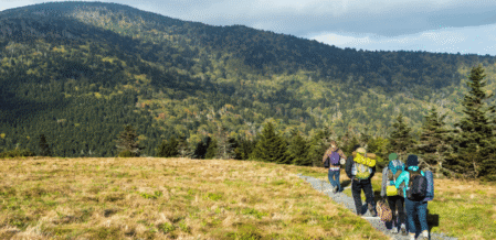 Image of a group of people hiking