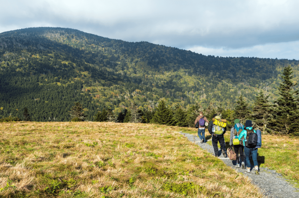 Image of a group of people hiking