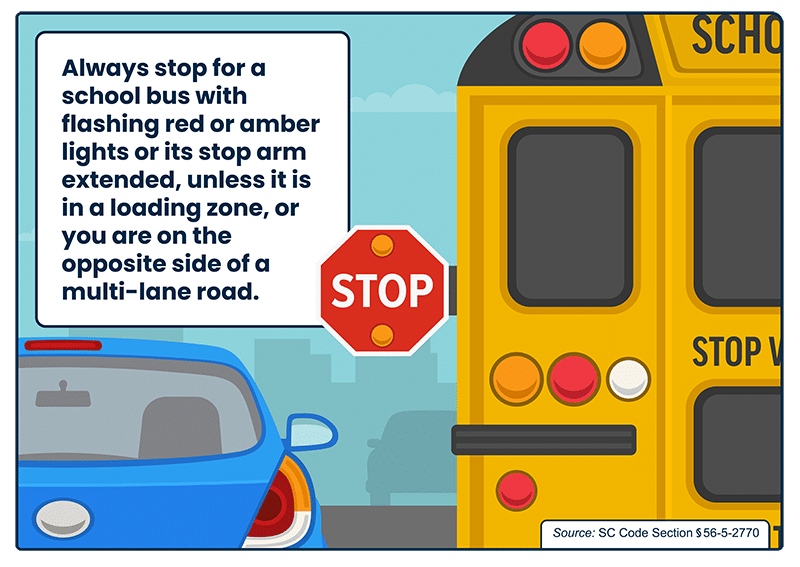 traffic law infographic