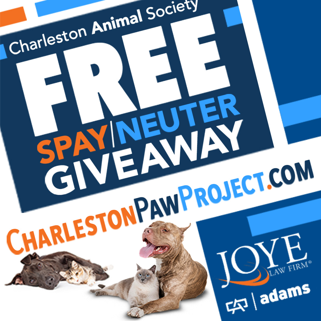 Free Spay/Neuter Giveaway