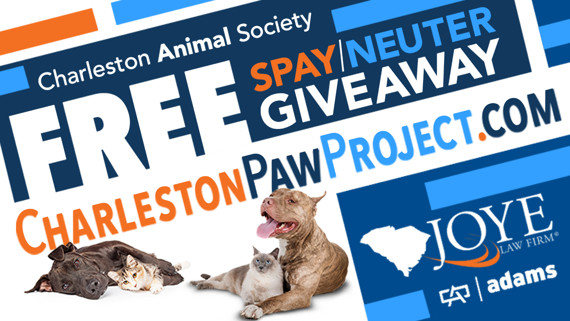 Charleston Paw Project Giving Away 150 FREE Spay & Neuter Surgeries