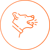 <strong>Reducing behavioral issues</strong>, such as aggression and marking.