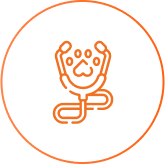 <strong>Improving overall pet health and lifespan.</strong>