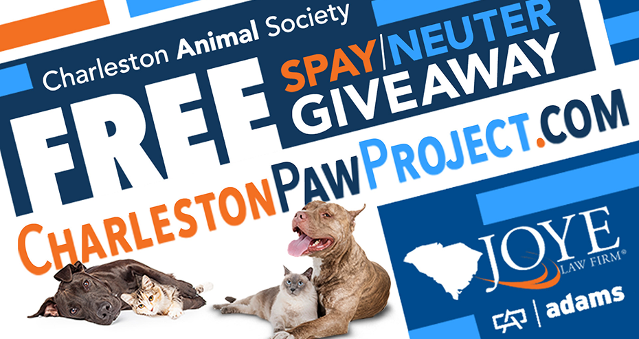 Free Spay/Neuter Giveaway