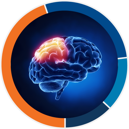 The leading causes of TBI are: