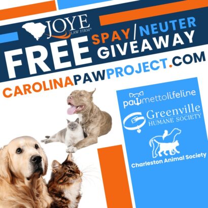 2026 Carolina Paw Project Feature Image 1080x1080