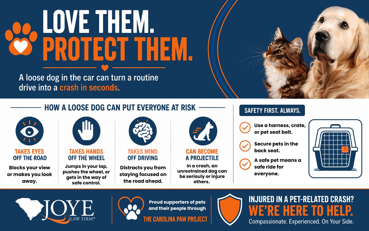 Car Accidents - Pet Distraction